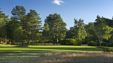 Ladybank Golf Club